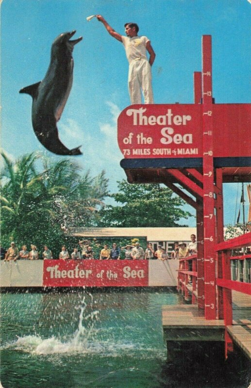 Postcard Theater of the Sea Miami Florida