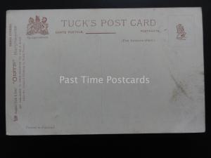 Horse Studies HACKNEY CAB After Harry Payne by Raphael Tuck 9138