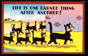 Life is One Darned Thing After Another Cat Comic