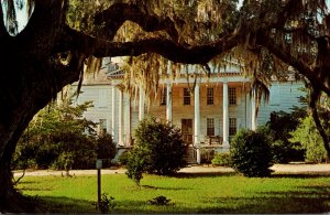 South Carolina Hampton Plantation Between Georgetown and Charleston