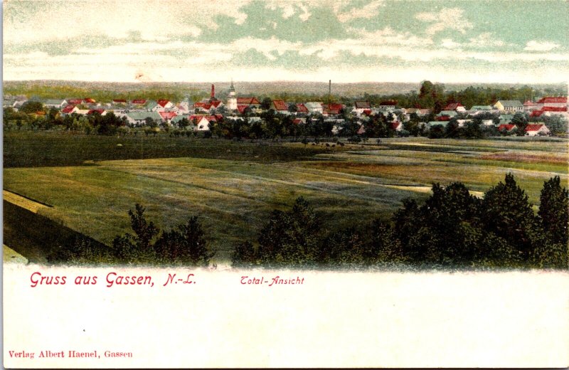 Poland Jasien Gruss aus Gassen Jasień Vintage Postcard  C012