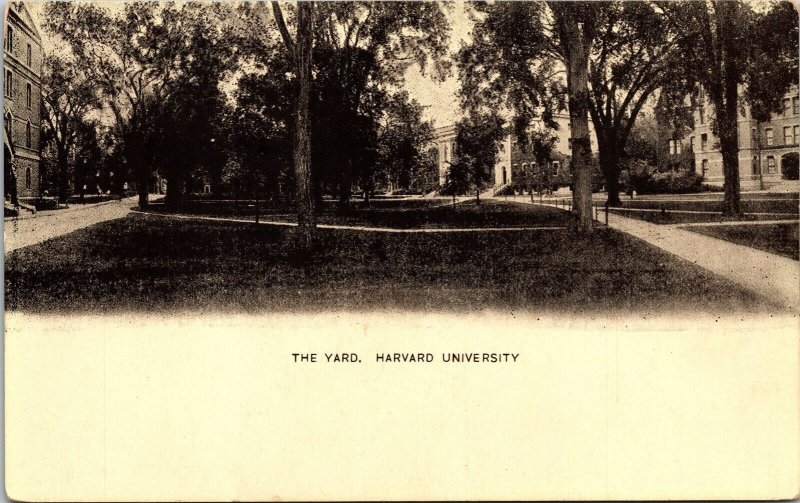 Yard Harvard University Antique Postcard DB UNP Unused  