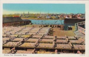 Massachusetts Gloucester Drying Fish Curteich