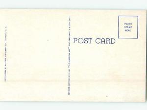 Pre-1980 PARK SCENE Tonawanda - Near Buffalo & Niagara Falls New York NY H2810