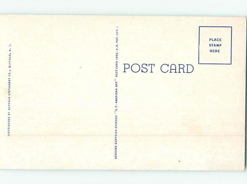 Pre-1980 PARK SCENE Tonawanda - Near Buffalo & Niagara Falls New York NY H2810