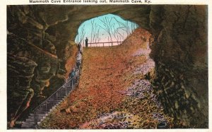 Vintage Postcard 1920's Long Stairs Mammoth Cave Entrance Looking Out Kentucky