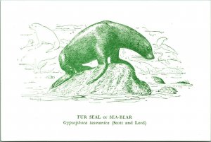 Fur Seal or Sea Bear National Museum of Victoria Australia Postcard UNP