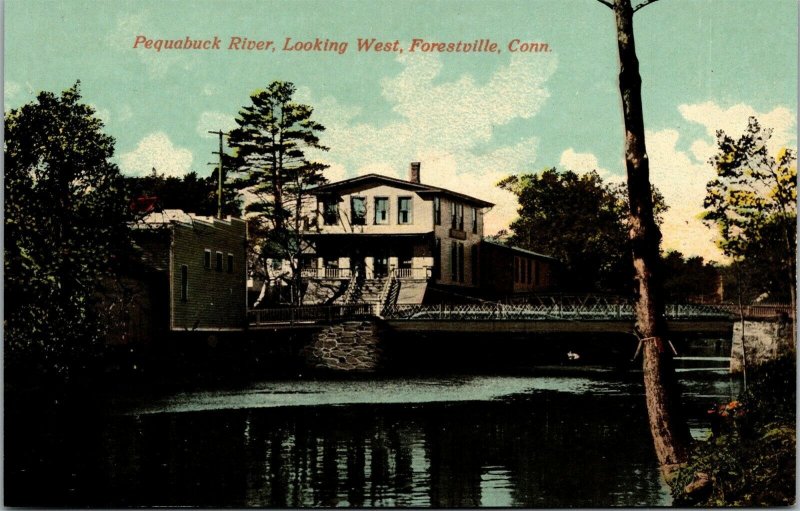 Vtg Forestville Connecticut CT Pequabuck River Looking West 1910s Postcard