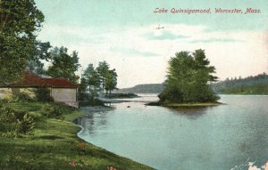 1909 Quiet Lake Quinsigamond Worcester Massachusetts Nature MA Vintage Postcard