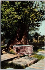 1907 Tombs At Jamestown Virginia VA Resting Place Of Americans Posted Postcard