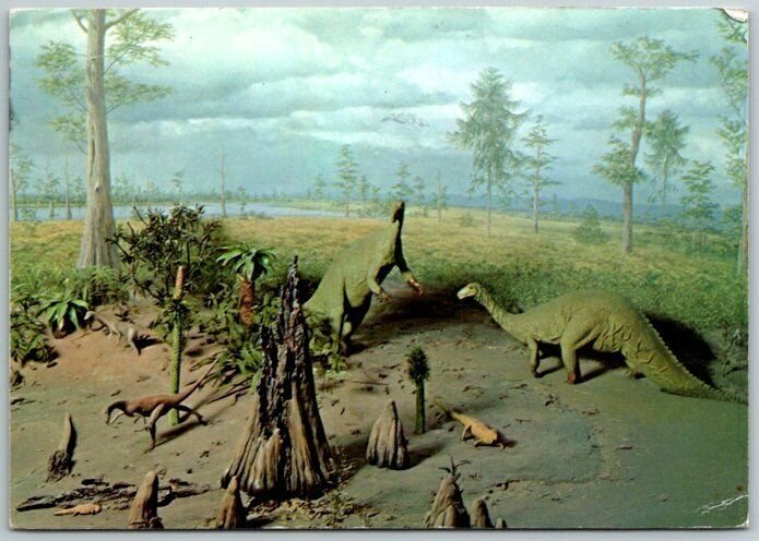 Restoration Scene Late Triassic Period Dinosaurs Museum Natural History Postcard