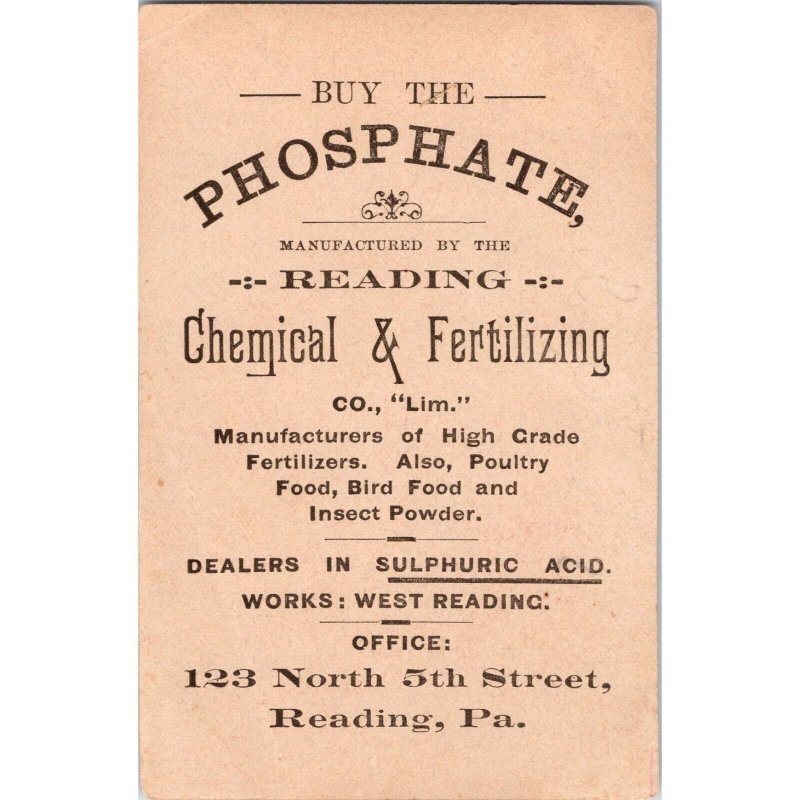 READING Chemical & Fertilizing Co - Boy Girl Swing - Victorian Trade Card