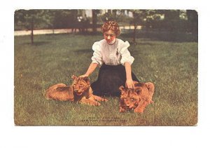 Woman with Two Lion Cubs, Zoo, New York City, Zoological Society,