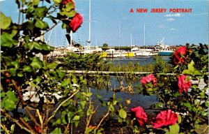 New Jersey, Point Pleasant - Marina - [NJ-207]