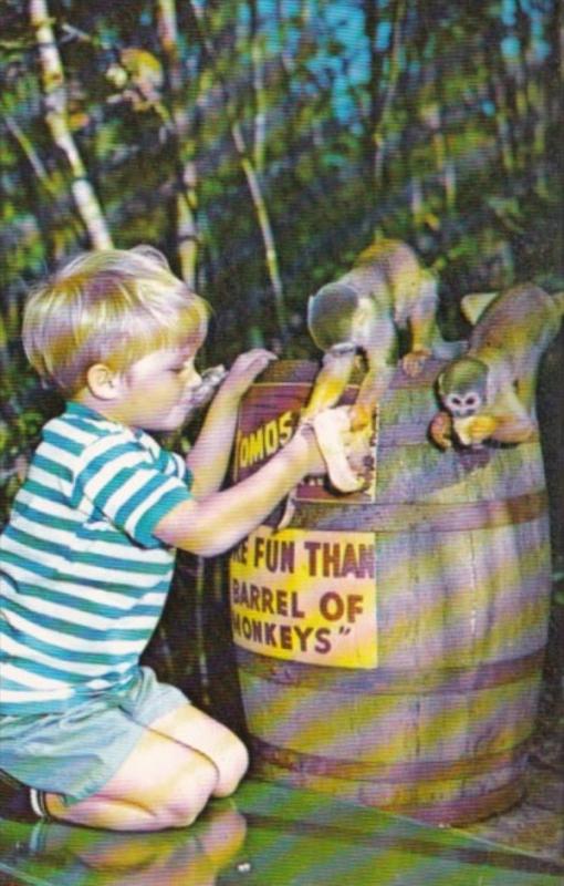Young Boy Feeding Monkeys At Homosassa Springs Florida