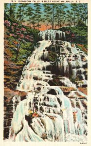 Vintage Postcard 1920's Issquena Water Falls Above Walhalla South Carolina S. C.