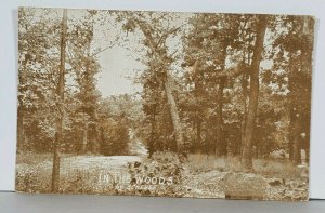 In The Woods by Scheuer Watson Minnesota Stokke & Ingelborg Postcard K15