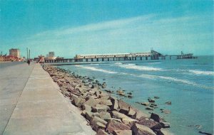 Galveston, TX Texas  SEAWALL & PLEASURE PIER   Vintage Chrome Postcard
