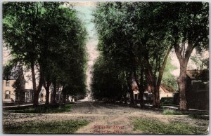 1908 Williams Street Postville Iowa Lined-Trees Home Road Posted Postcard