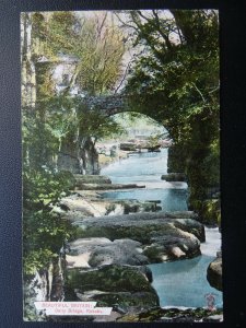 Durham ROKEBY Dairy Bridge over the River Greta c1906 Postcard by Knight Series