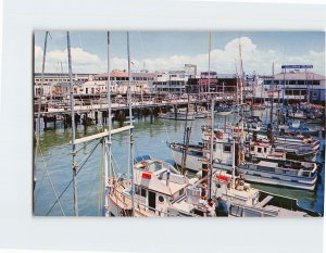 Postcard Fisherman's Wharf, San Francisco, California