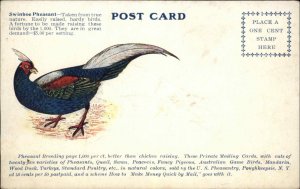 Poughkeepsie U.S. Pheasantry Swinhoe Pheasant Ad Private Mailing Card PC