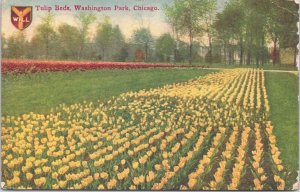 USA Tulip Beds Washington Park Chicago Illinois Postcard 09.43