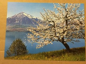 UNUSED POSTCARD - NIESEN MOUNTAIN, LAKE THUN,  SIGRISWIL, SWITZERLAND