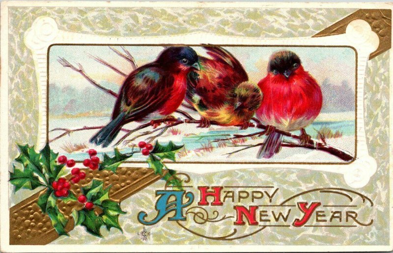 Vintage Postcard Happy New Year Birds Holly Snow 1912 King City Salinas CA  984