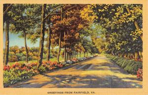 Fairfield Virginia Scenic Roadway Greeting Antique Postcard K86724