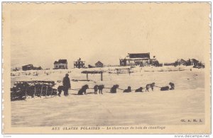 Aux Glaces Polaires, Canada , 1910s : Le charriage du bois de chauffage