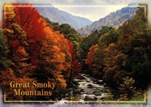 Great Smoky Mounatins National Park BIN