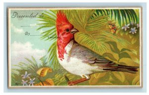 Lot Of 3 1880's Religious Victorian Cards Bible Quotes Colorful Wild Birds P188