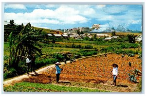 Lam Dong Vietnam Postcard Garden Scene at Da Lat in the High Country c1950's