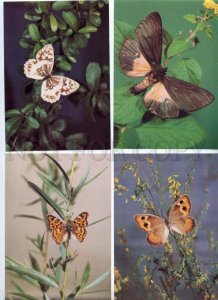 137264 Charming BUTTERFLY old SET of 18 PCs