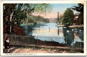 Postcard NY Albany Washington Park Girl watching swans