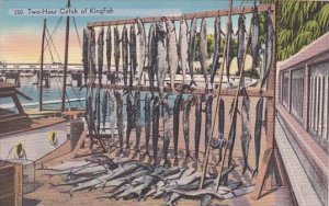 Fishing Two Hour Catch Of Kingfish In Florida