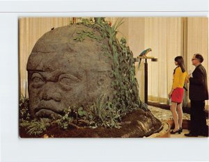 Postcard Eight-Foot-High Head, National Geographic Museum, Washington, D. C.