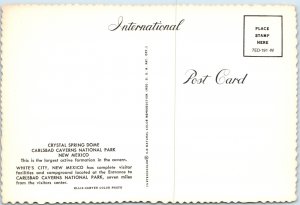 c1960s Carlsbad Caverns NM Crystal Spring Dome 4x6 PC National Park M53