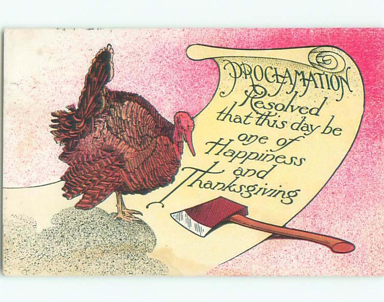 Divided-Back THANKSGIVING SCENE Great Postcard AA0527