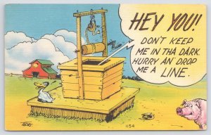 Comics~Duck Beside Well~Hey You~”Drop a Line” From Well~Pig~Linen Postcard
