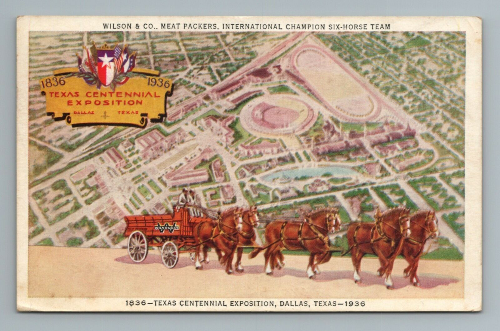 Wilson Co Meat Packers Horse Team Texas Centennial Exp Dallas Vintage
