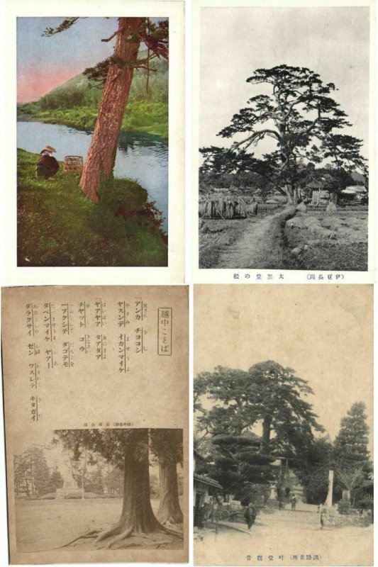 JAPAN JAPON ASIE ASIA TREES 150 CPA Pre-1950 (L2402)