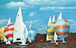 GREEN LAKE WISCONSIN~SAIL BOAT REGATTA POSTCARD