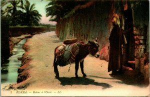 Vtg Postcard 1910s Biskra-type with Donkey Oasis Town RETOUR A L Oasis Unused