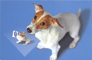 Jack Russell Terrier Dog Unused 