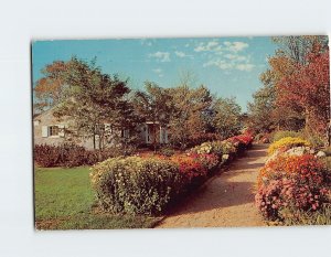 Postcard - Garden Chrysanthemums, Boerner Botanical Gardens - Hales Corners, WI