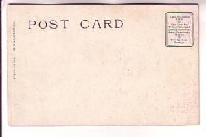 Painting, A  Gray Day on the Meadows,