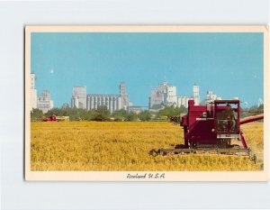 Postcard Riceland, U.S.A., Grand Prairie, Arkansas