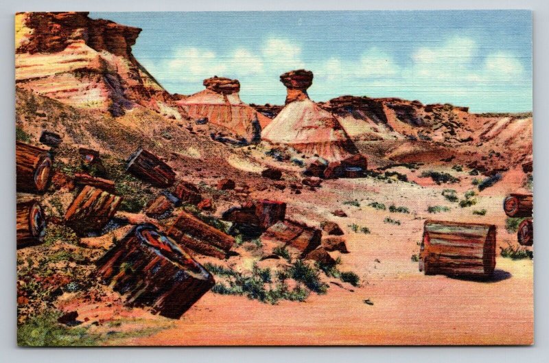 Petrified Wood & Erosions Forest Arizona Vintage Unposted Linen Postcard